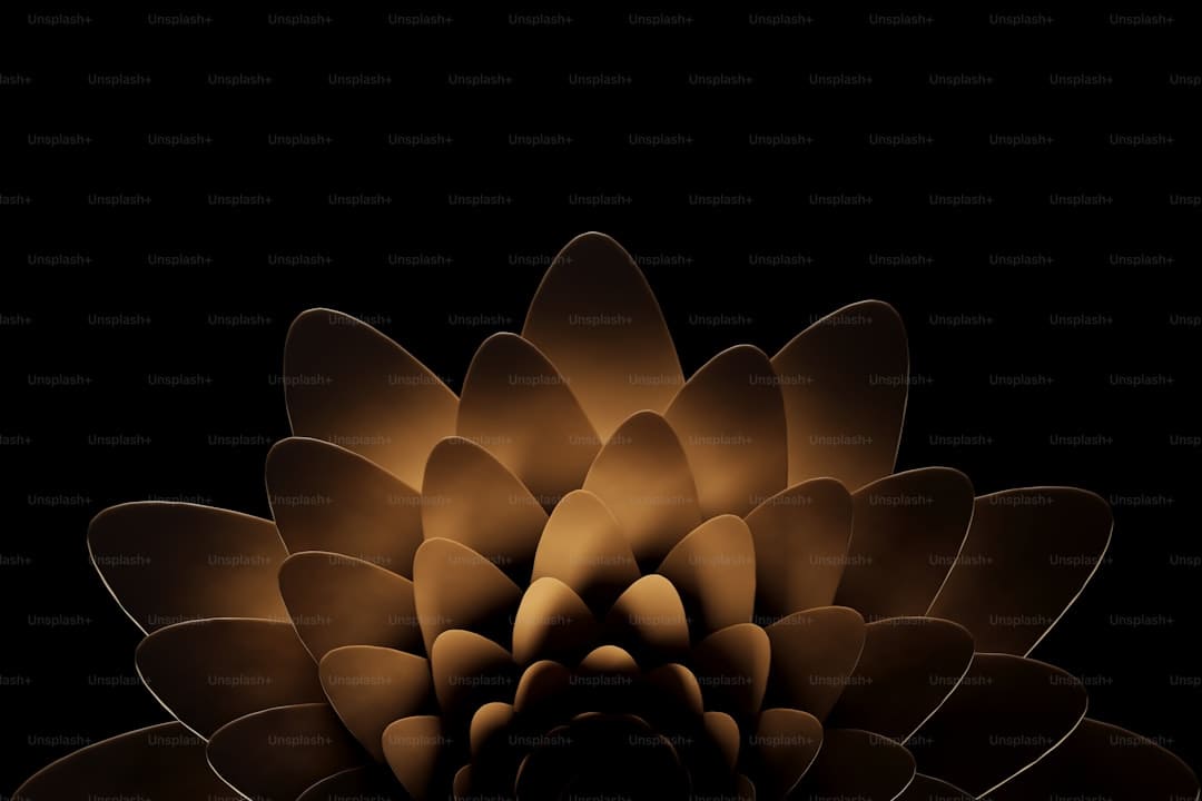 http://n.sinaimg.cn/news/transform/w600h400/20180308/1Csc-fxpwyhv7936926.jpg?zdy